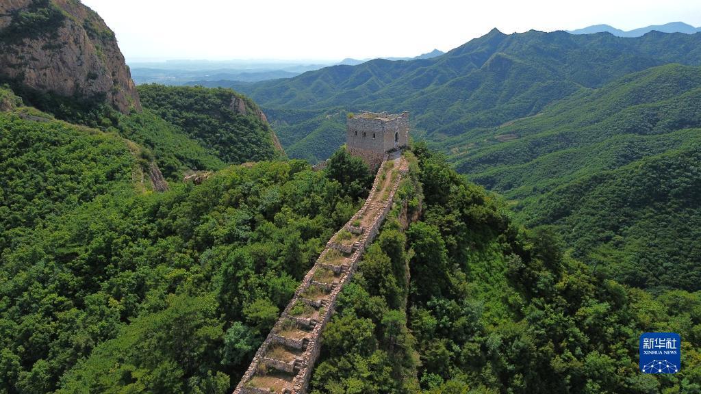 手机版捕鱼游戏中心